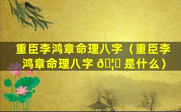 重臣李鸿章命理八字（重臣李鸿章命理八字 🦋 是什么）